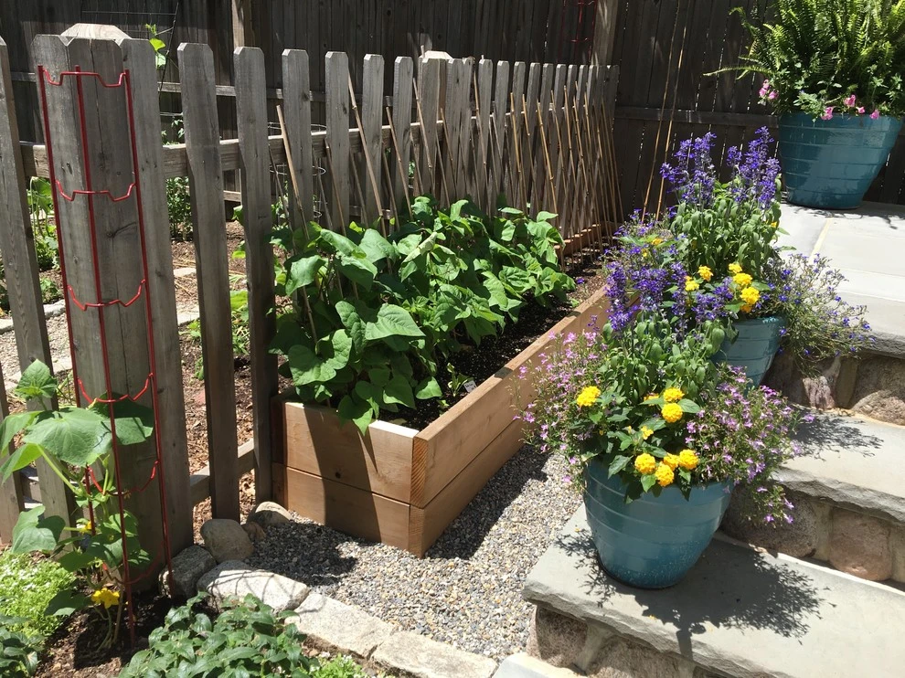Vegetable Gardens by Innovative Garden Design - Photo 4