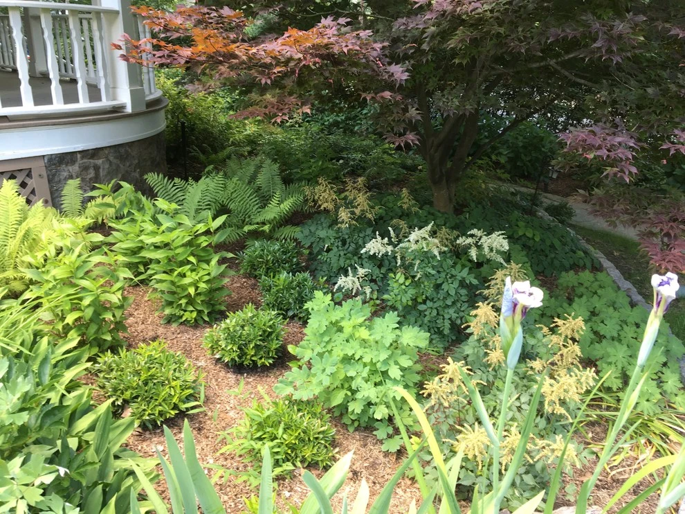 Shade Gardens by Innovative Garden Design - Photo 4
