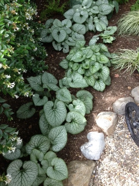 Shade Gardens by Innovative Garden Design - Photo 3