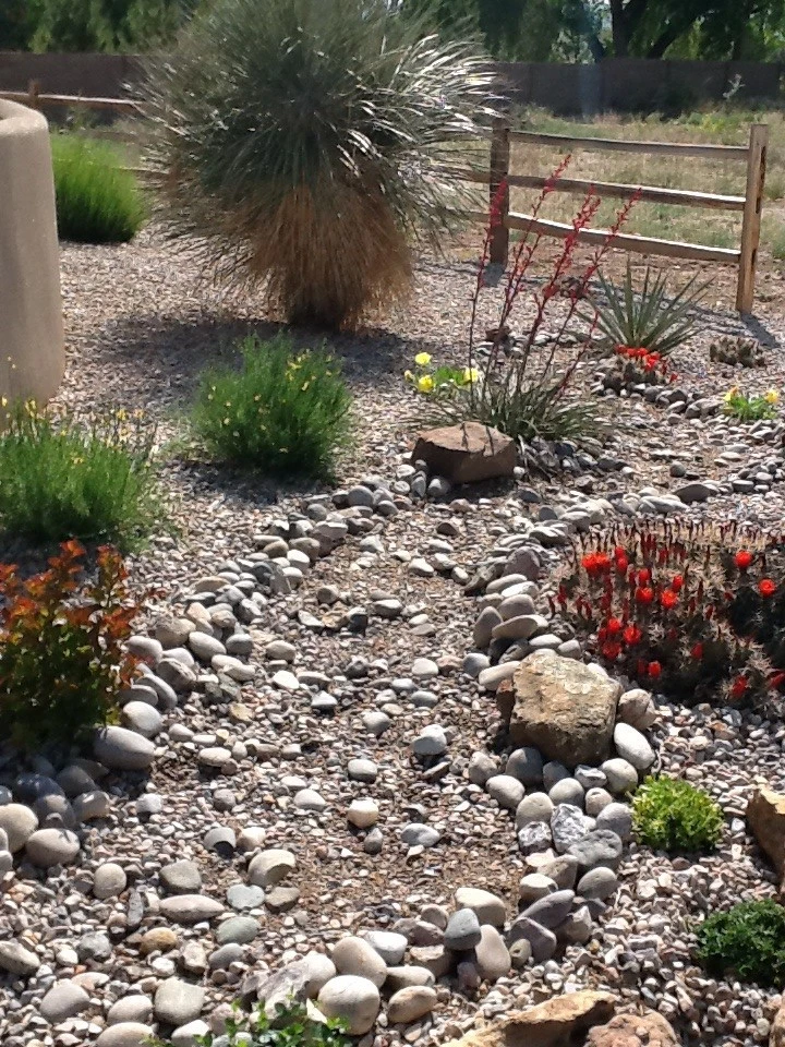 Jackie Hall Designs - Photo 12