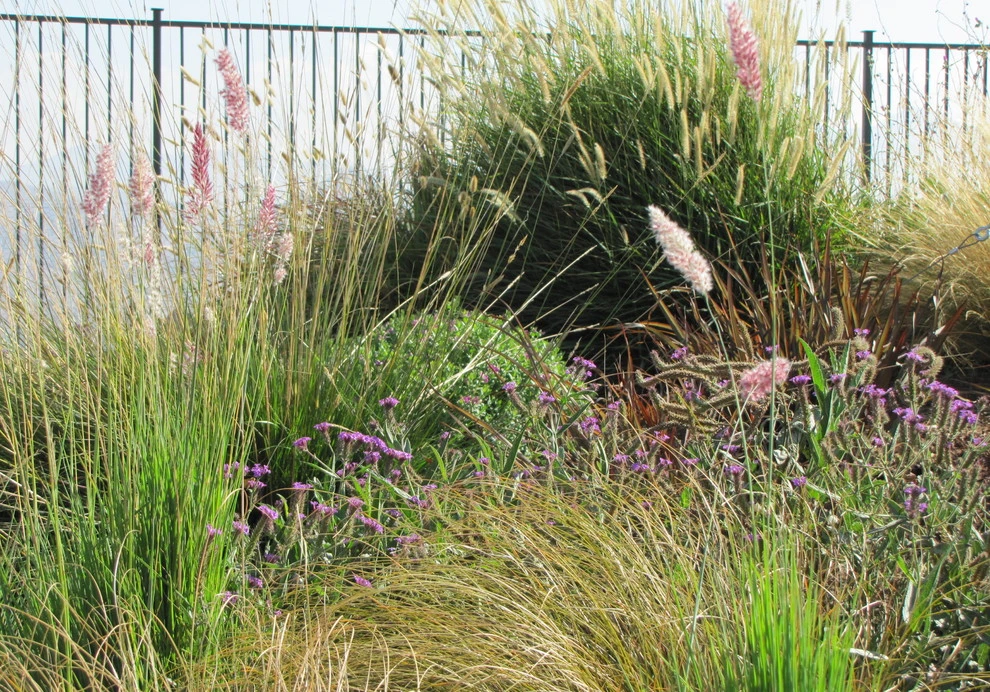 Jean Marsh Design - Photo 3