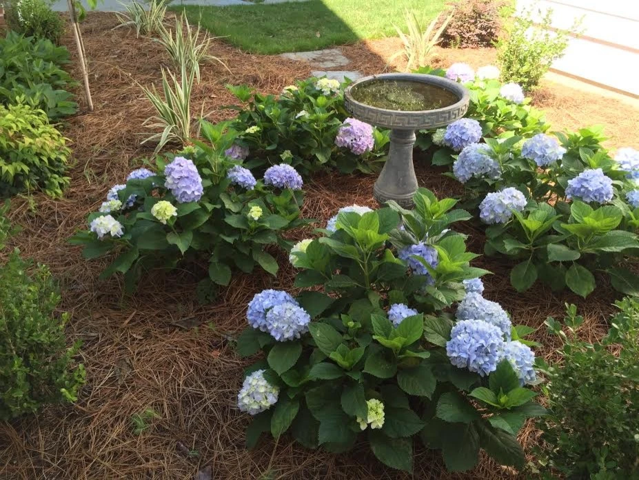 John Glenn Landscapes Inc by John Glenn Landscapes Inc - Photo 24