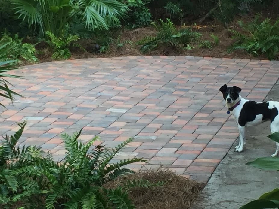 John Glenn Landscapes Inc by John Glenn Landscapes Inc - Photo 15