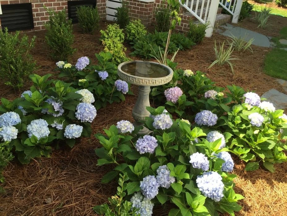John Glenn Landscapes Inc by John Glenn Landscapes Inc - Photo 10