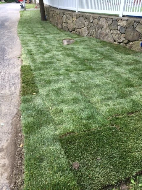 John Spector Landscape Design - Photo 5