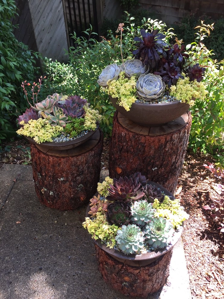 Cozy Entry Patio in Walnut Creek by DVA Consulting And Design - Photo 3