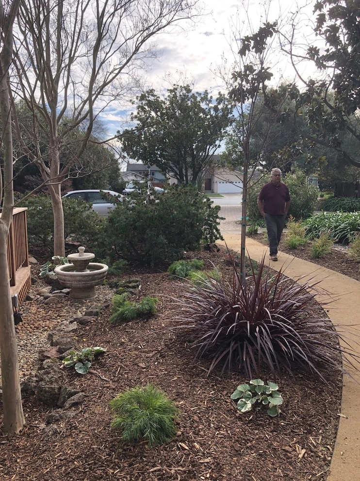 Fremont Front Yard Make Over by DVA Consulting And Design - Photo 5