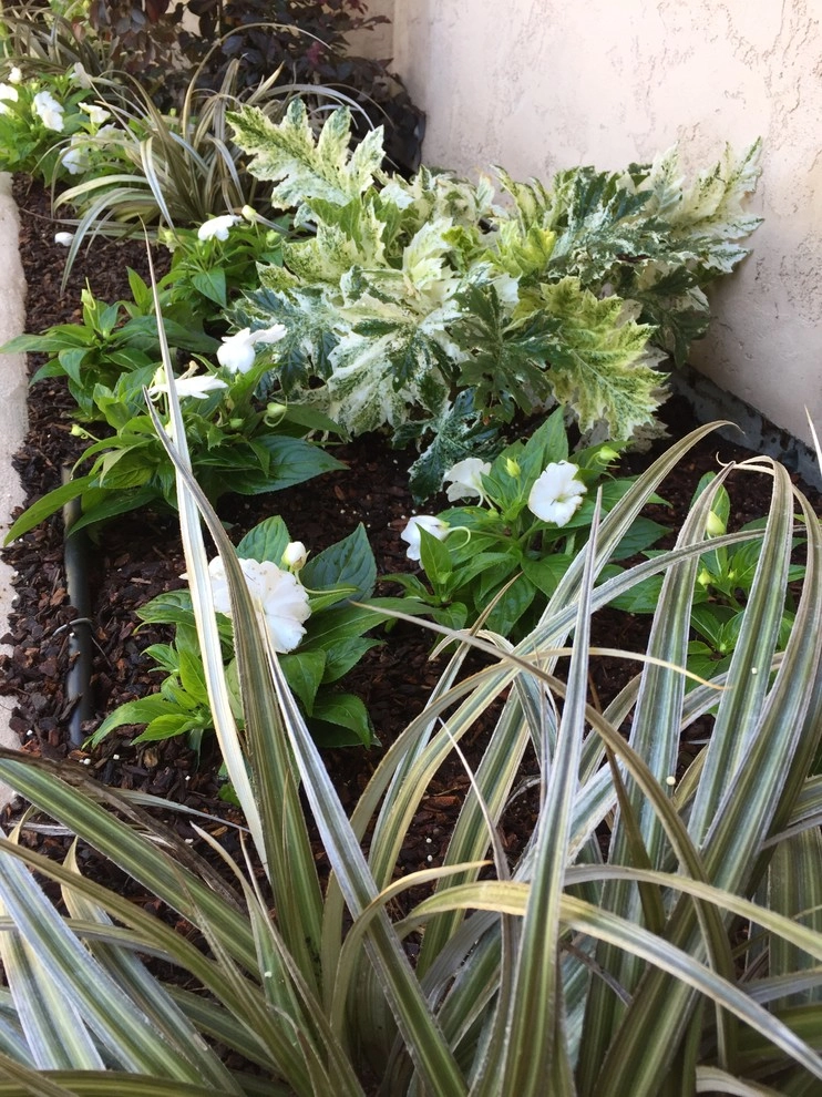 Berkeley Hills by DVA Consulting And Design - Photo 6