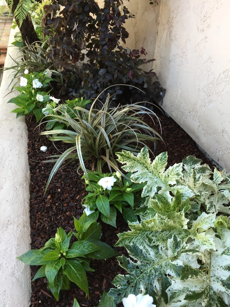 Berkeley Hills by DVA Consulting And Design - Photo 4