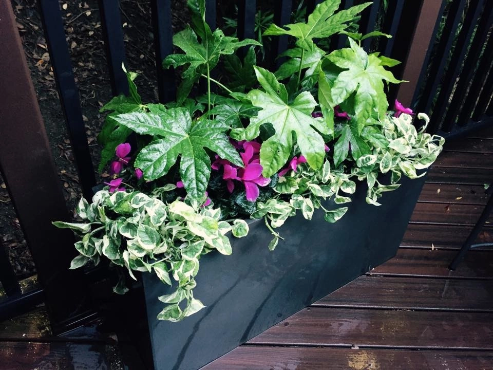 Hummingbird & Butterfly Garden by DVA Consulting And Design - Photo 3