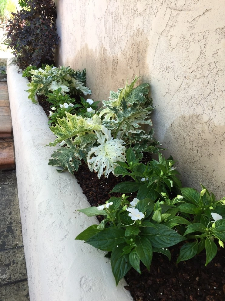 Berkeley Hills by DVA Consulting And Design - Photo 2