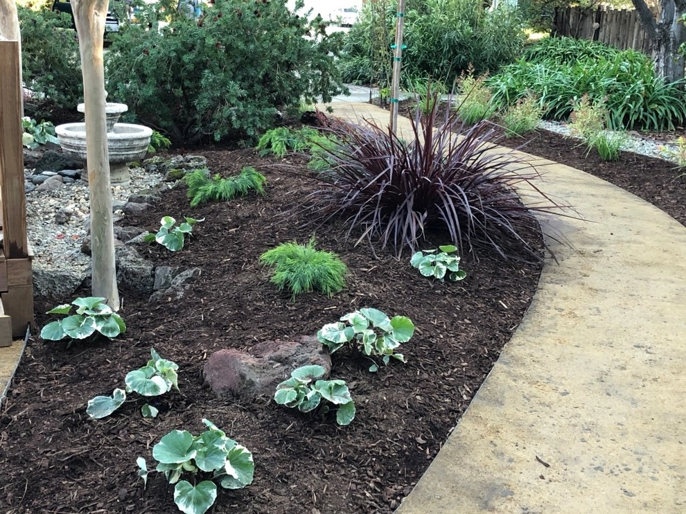 Fremont Front Yard Make Over by DVA Consulting And Design - Photo 4