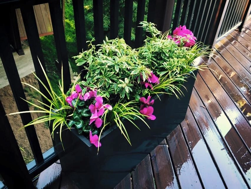 Hummingbird & Butterfly Garden by DVA Consulting And Design - Photo 2