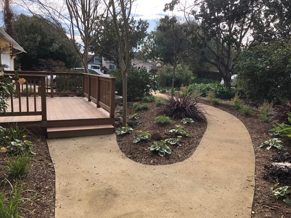 Fremont Front Yard Make Over by DVA Consulting And Design - Photo 7