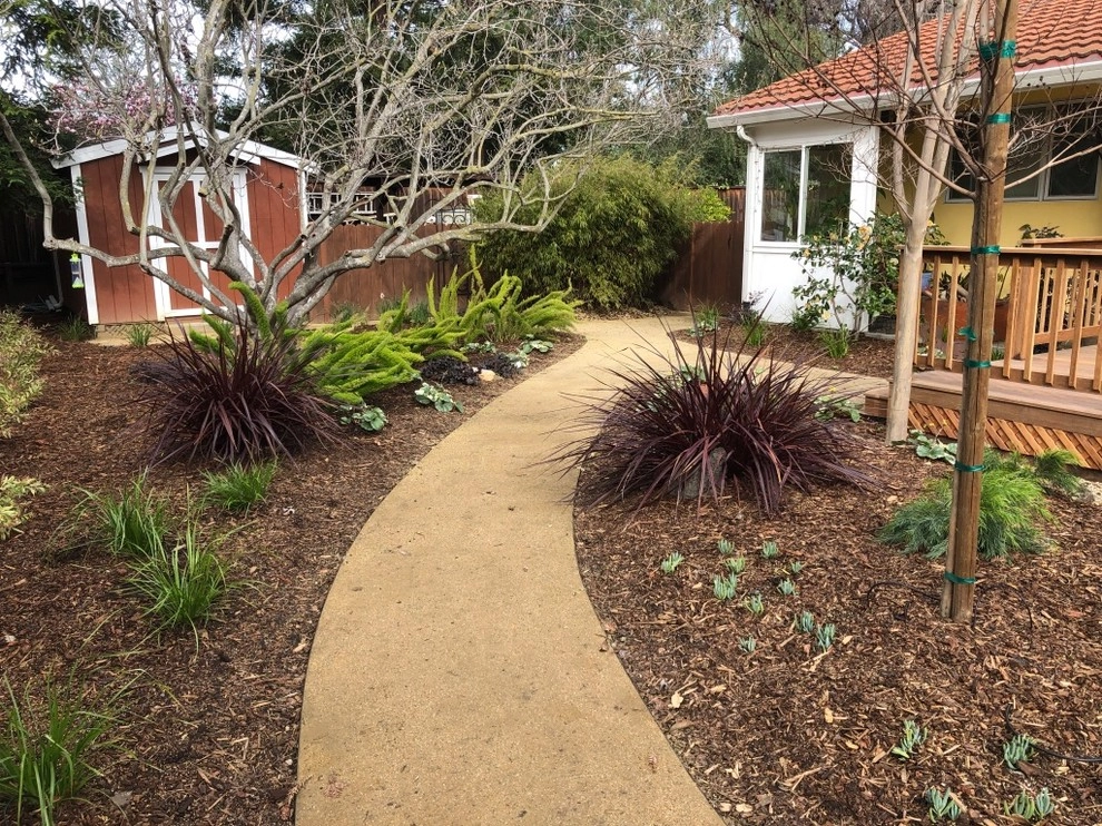 Fremont Front Yard Make Over by DVA Consulting And Design - Photo 9
