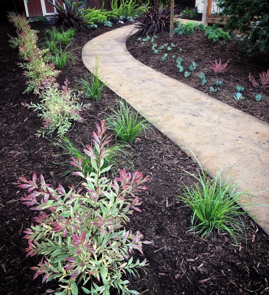 Fremont Front Yard Make Over by DVA Consulting And Design - Photo 3