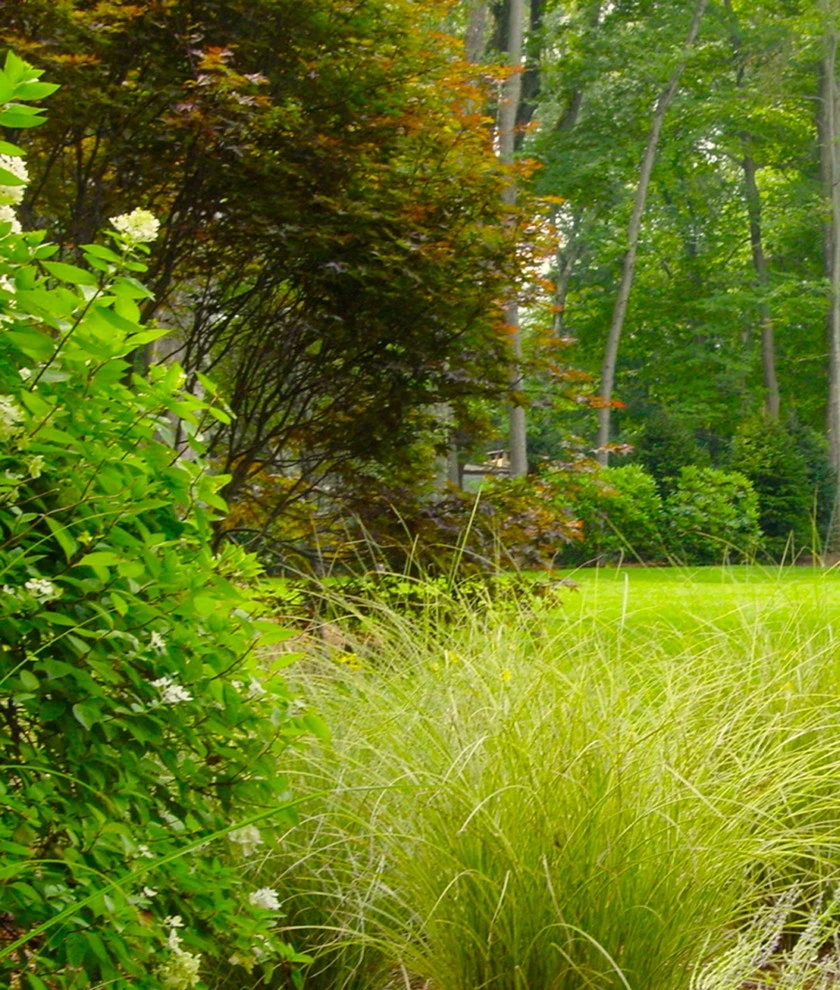 Karen K. Ma Landscape Design Studio LLC - Photo 3