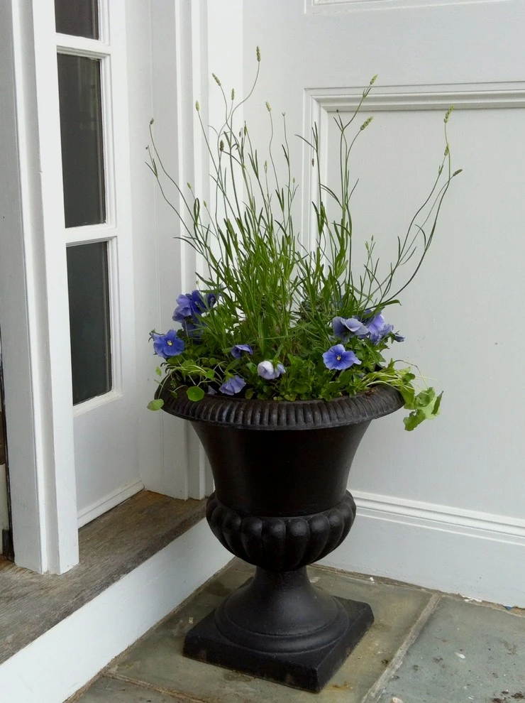 Karen K. Ma Landscape Design Studio LLC - Photo 7