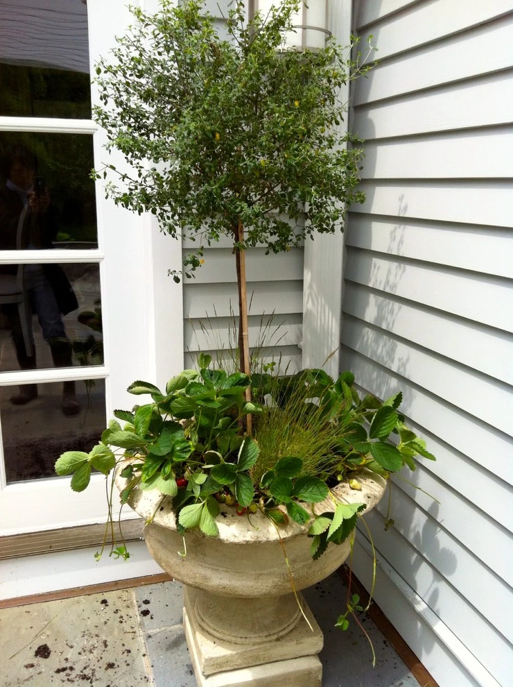 Karen K. Ma Landscape Design Studio LLC - Photo 8