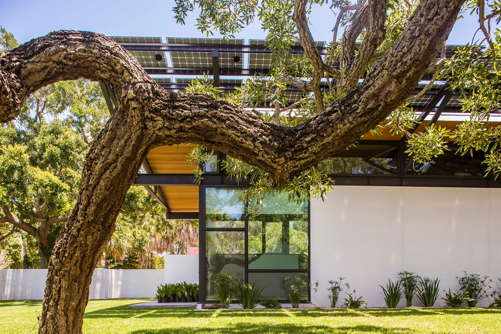 Seminole Drive Landscape by DWY Landscape Architects - Photo 4