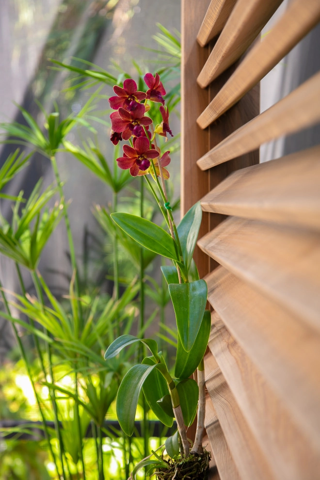 Prospect St Residence by DWY Landscape Architects - Photo 23