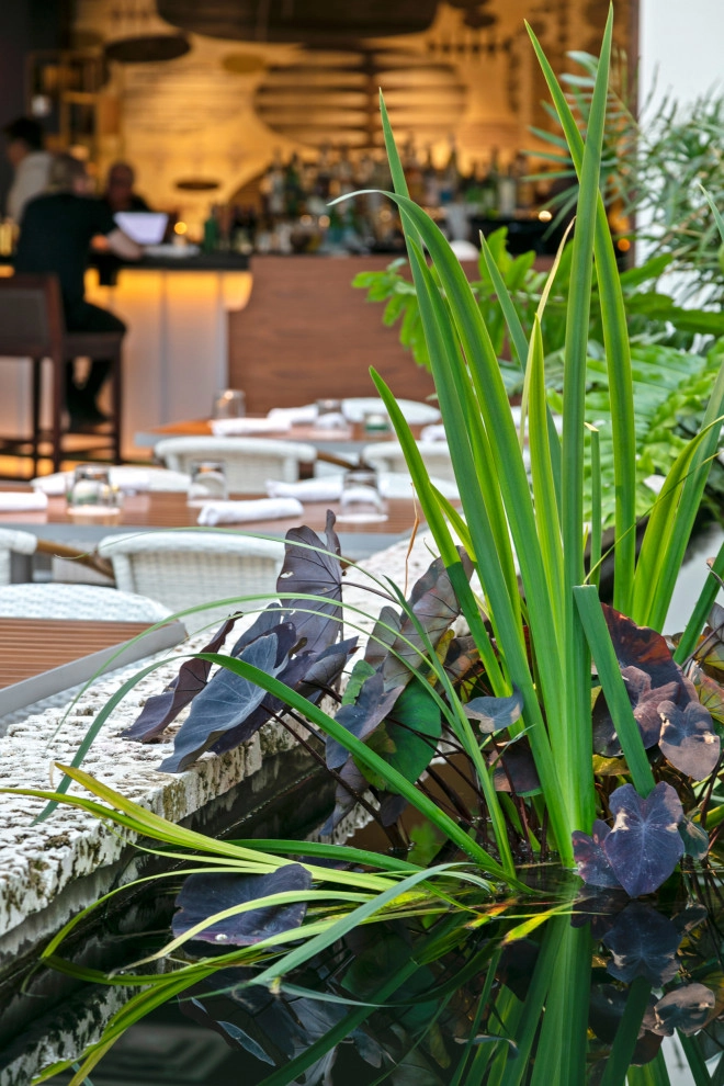 Sarasota Modern Hotel by DWY Landscape Architects - Photo 13