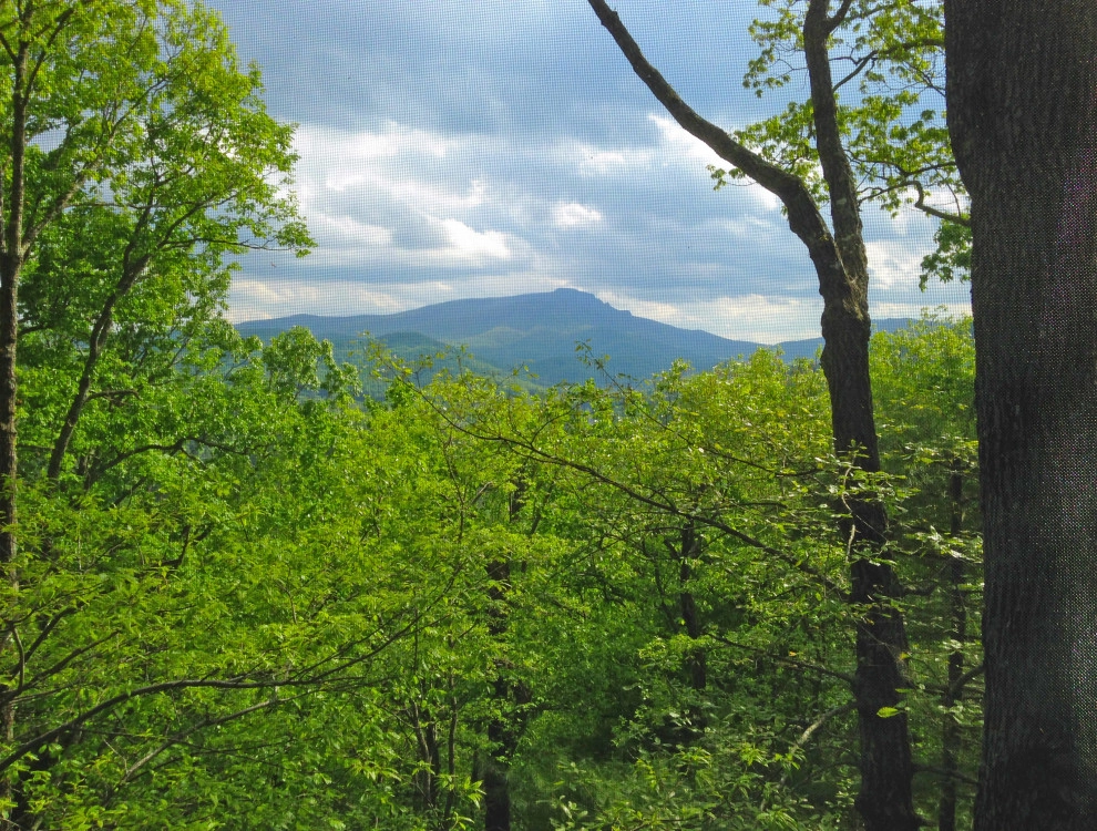 Blue Ridge Mountain Cottage by DWY Landscape Architects - Photo 6