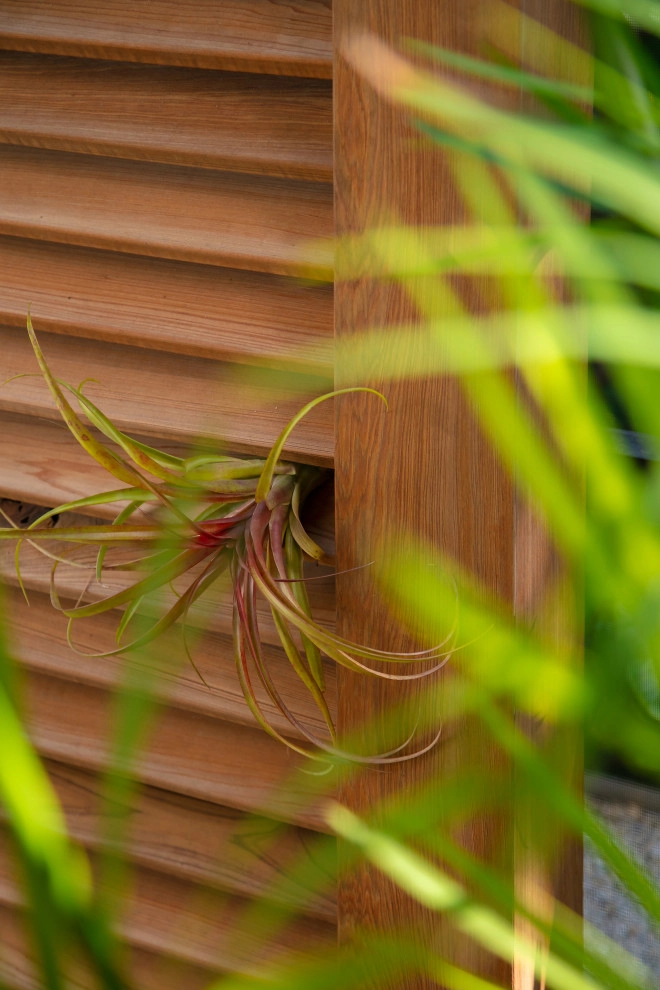 Prospect St Residence by DWY Landscape Architects - Photo 20