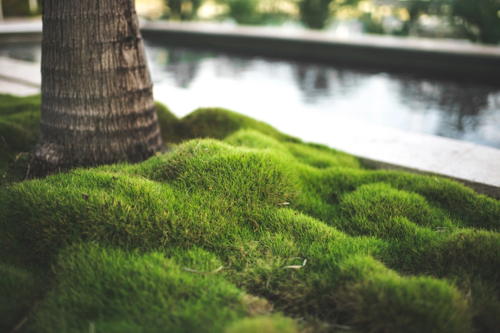Bird Key Phase II by DWY Landscape Architects - Photo 11