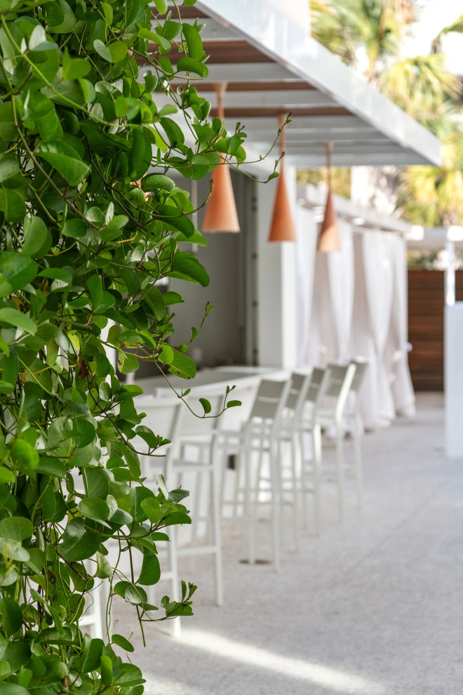 Sarasota Modern Hotel by DWY Landscape Architects - Photo 6