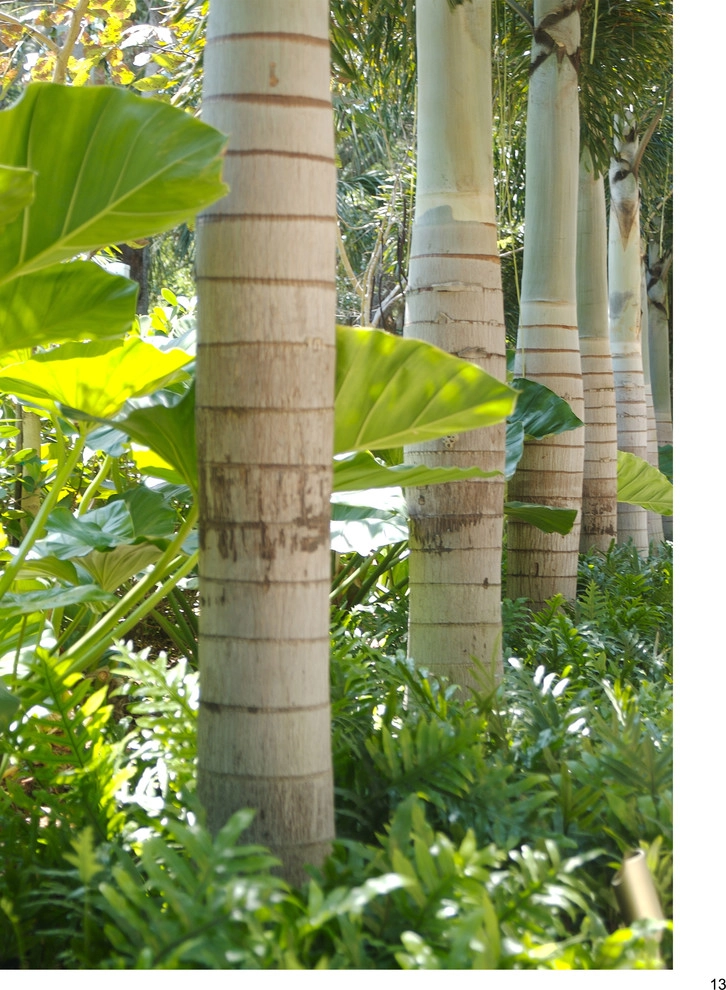 DWY Landscape Architects - Photo 4