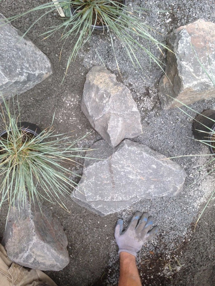 The Rock'in Rain Garden by Grateful Beds - Photo 4