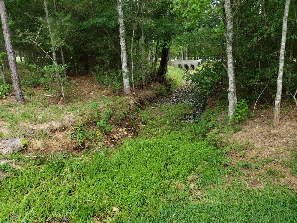 Ornamental Erosion Control by E.L.I. Land Design, LLC - Photo 4