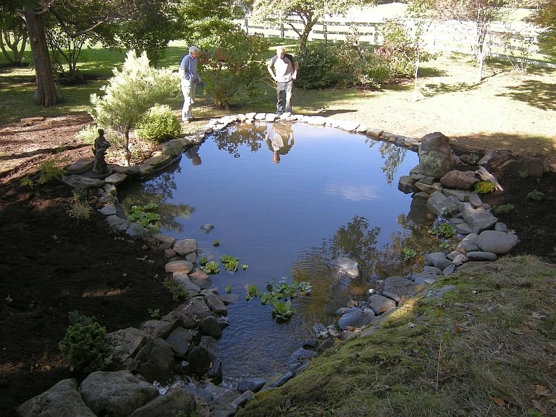 Green Art, Inc - Photo 13