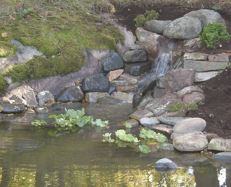 Green Art, Inc - Photo 14