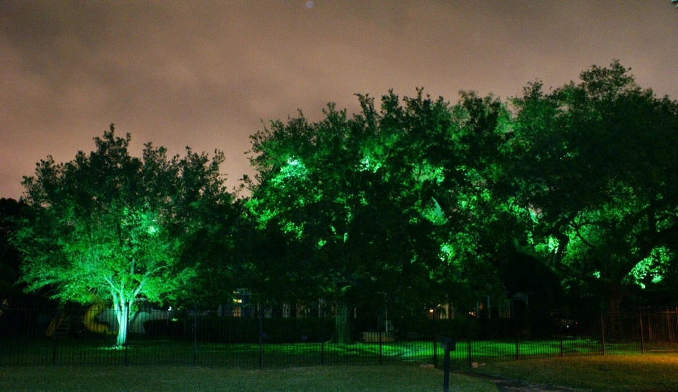 South Texas Landscape Lighting by E2 Illumination Designs - Photo 6