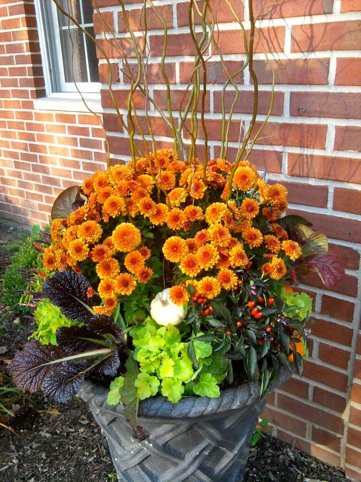 Seasonal Flower Pots by Green City Gardens - Photo 5
