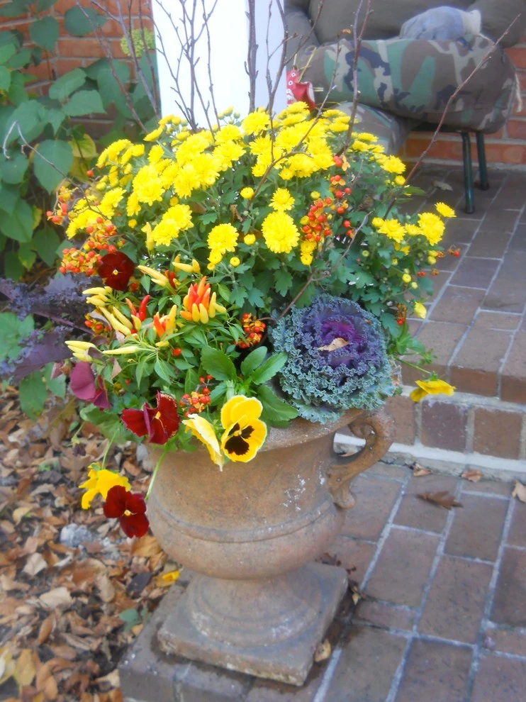 Seasonal Flower Pots by Green City Gardens - Photo 3