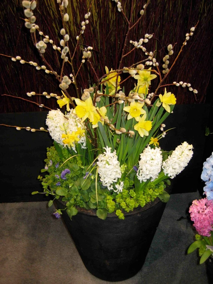 Seasonal Flower Pots by Green City Gardens - Photo 6