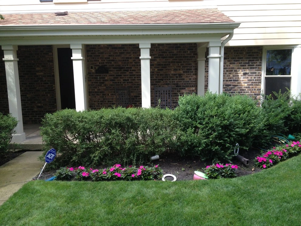 Green City Gardens - Photo 11