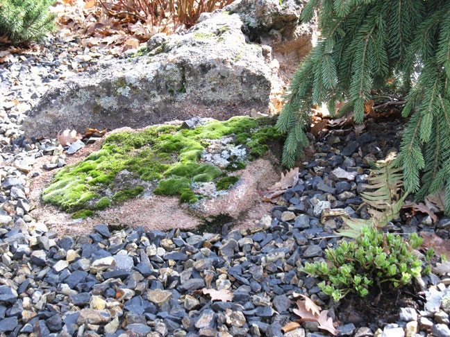 Boulders by Green Designs - Photo 2