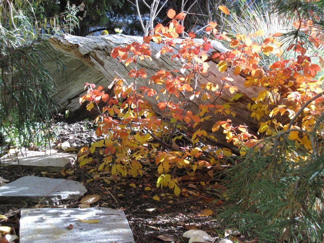 Green Designs - Photo 14
