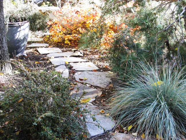 Green Designs - Photo 7