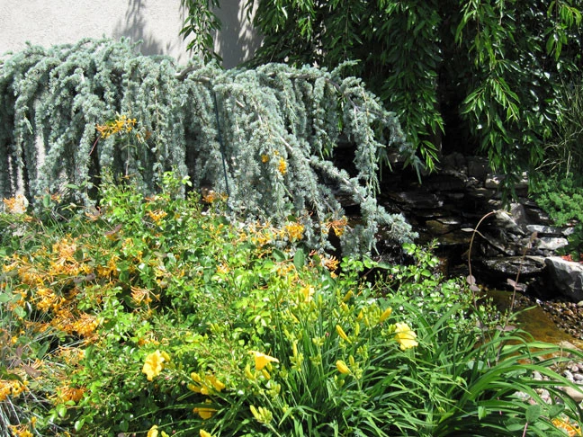 Green Designs - Photo 2