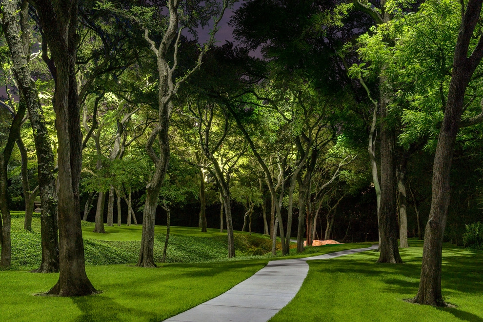 E2 Illumination Designs - Photo 7