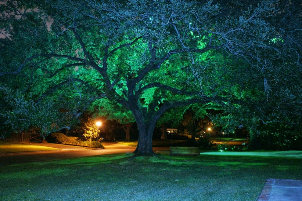 Project #6 by E2 Illumination Designs - Photo 3