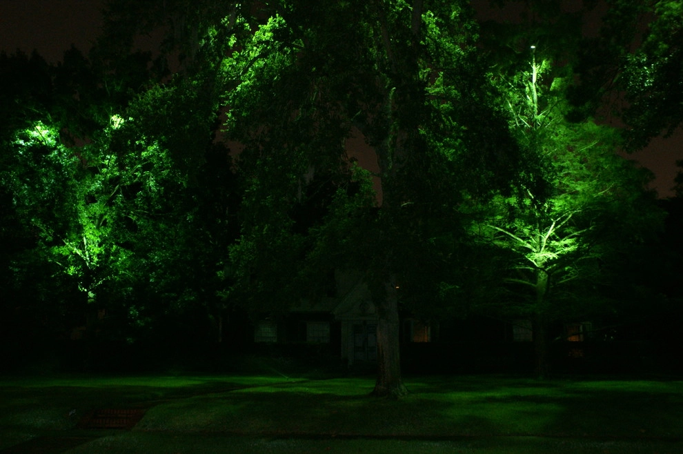 South Texas Landscape Lighting by E2 Illumination Designs - Photo 7