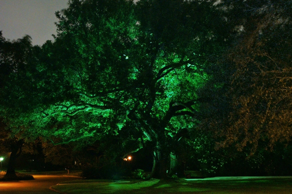 Project #6 by E2 Illumination Designs - Photo 4