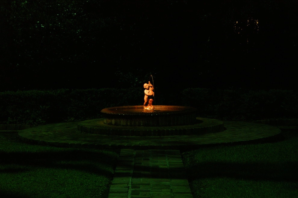 South Texas Landscape Lighting by E2 Illumination Designs - Photo 2
