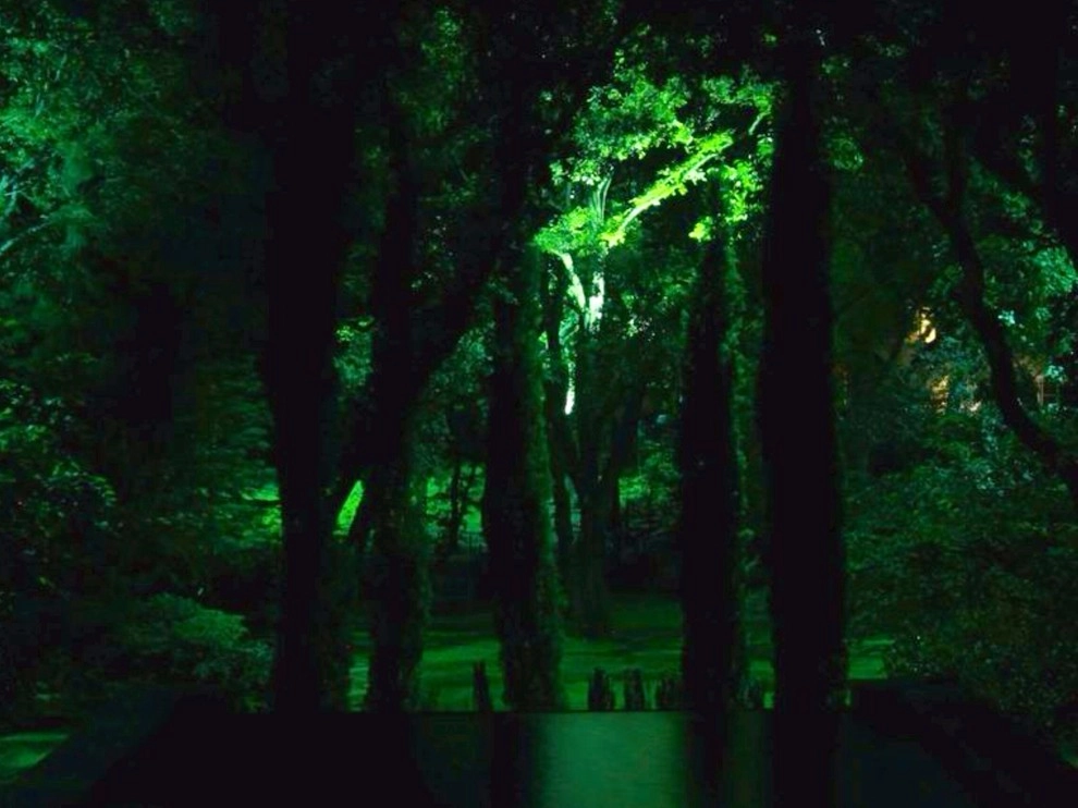 Project #7 by E2 Illumination Designs - Photo 3